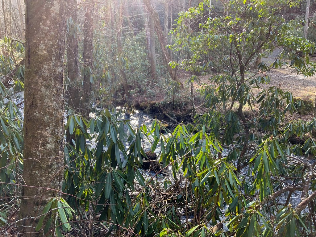 60 Porterfield Gap Road