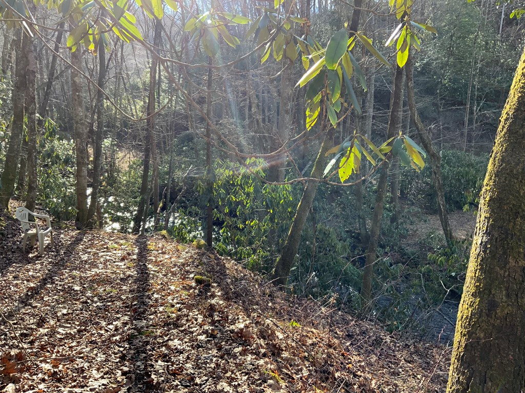 60 Porterfield Gap Road