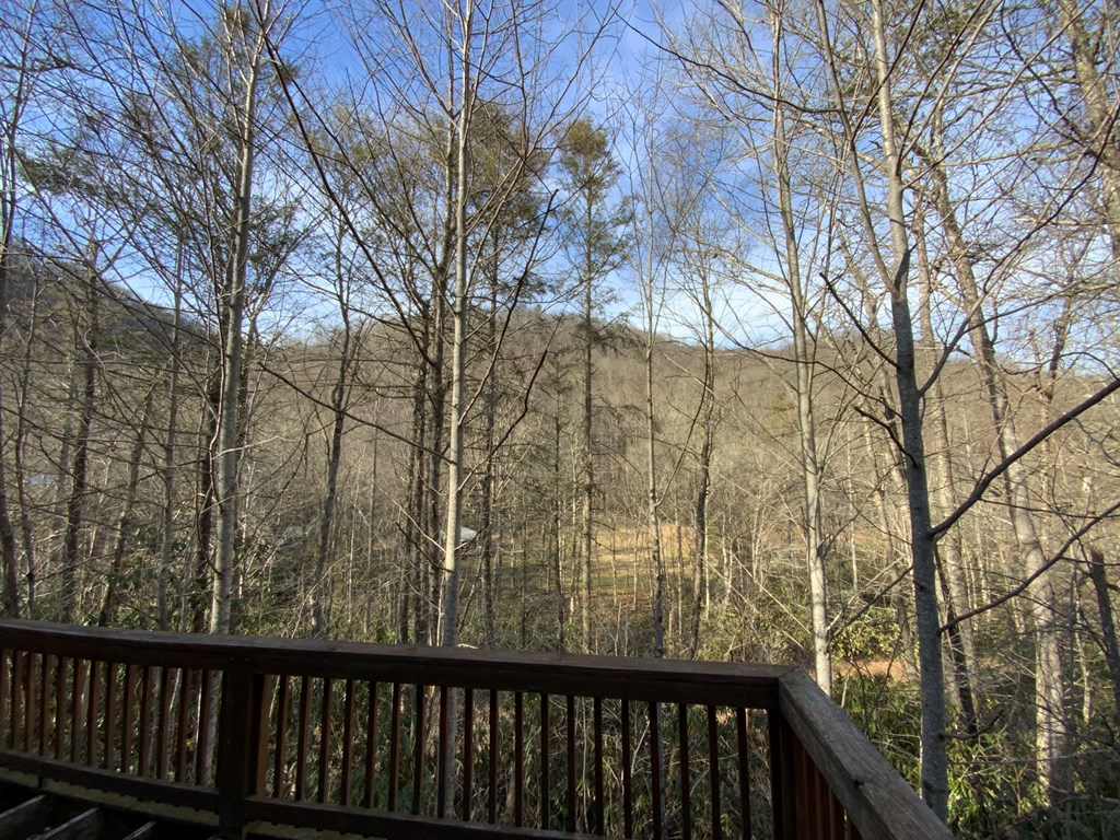 60 Porterfield Gap Road