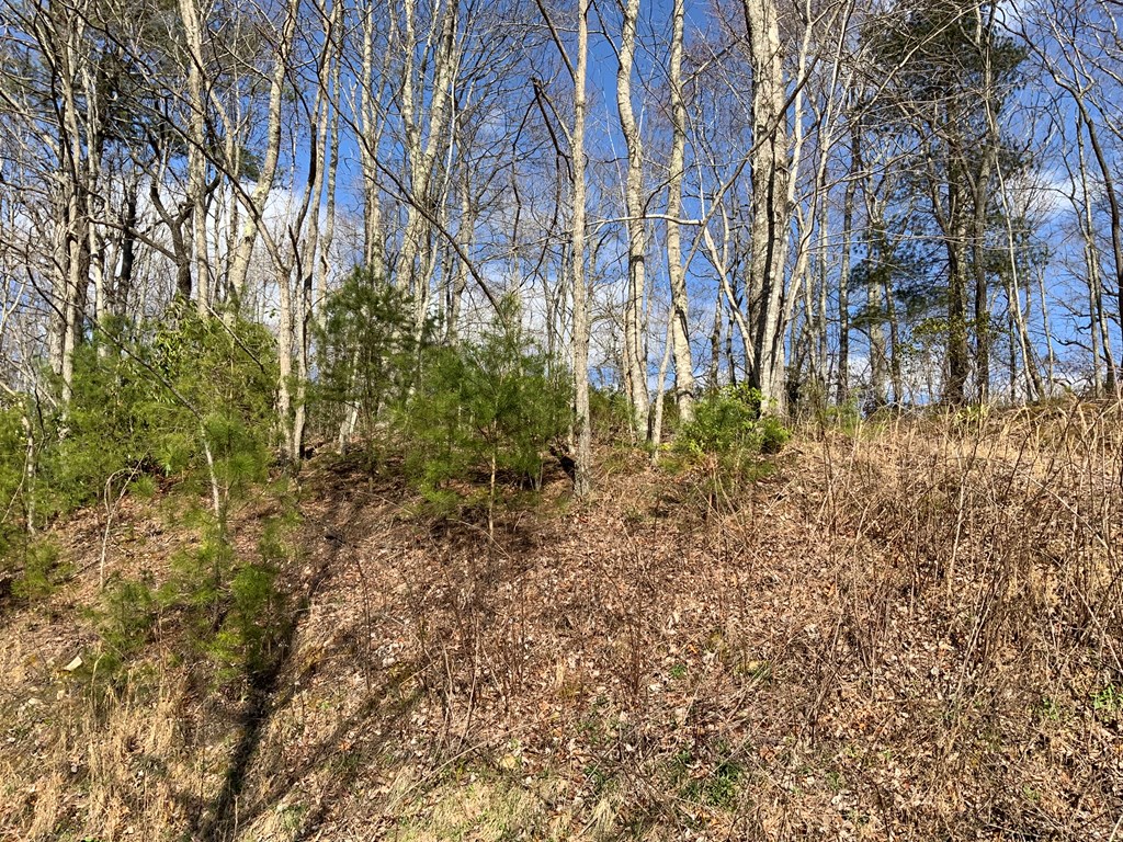 Lot 22 Laramie Heights