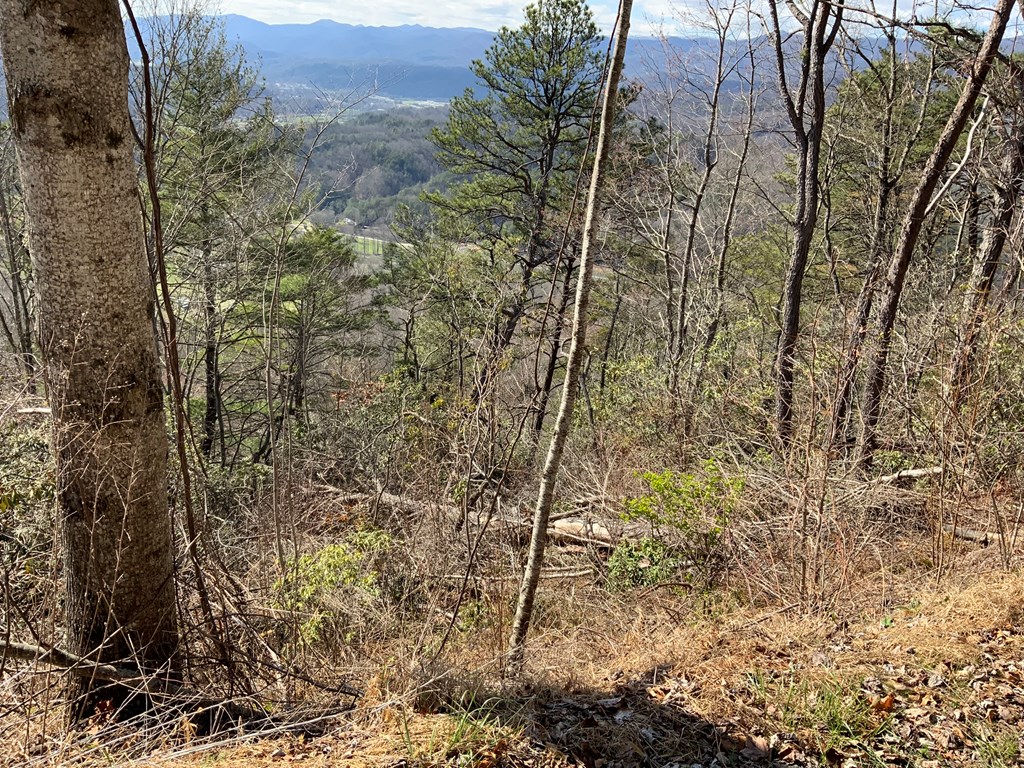 Lot 22 Laramie Heights