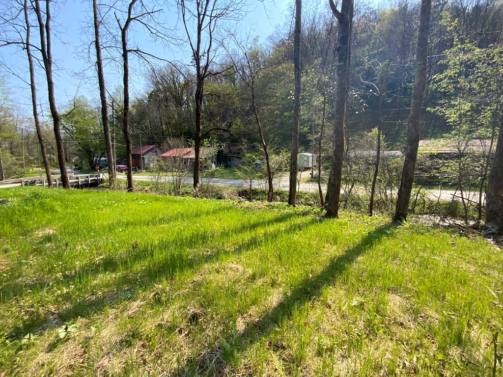 1000 Hyatt Creek Road