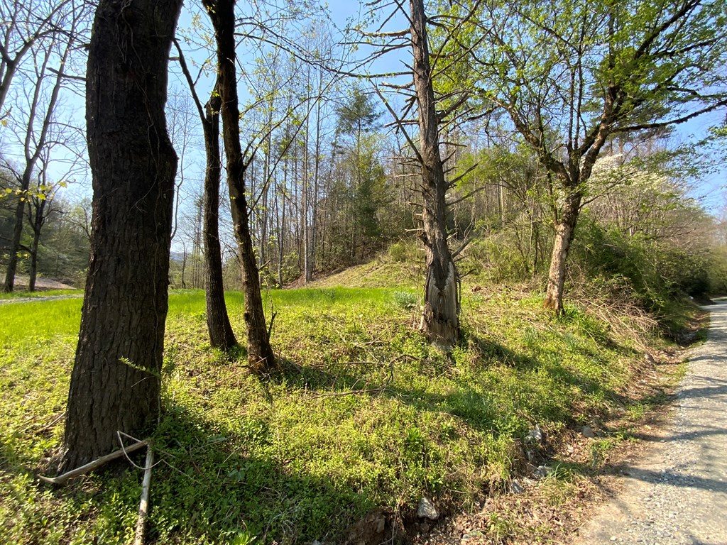 1000 Hyatt Creek Road