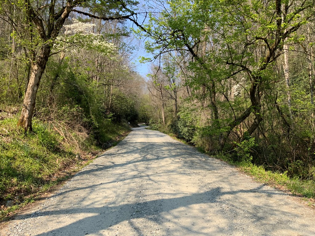 1000 Hyatt Creek Road