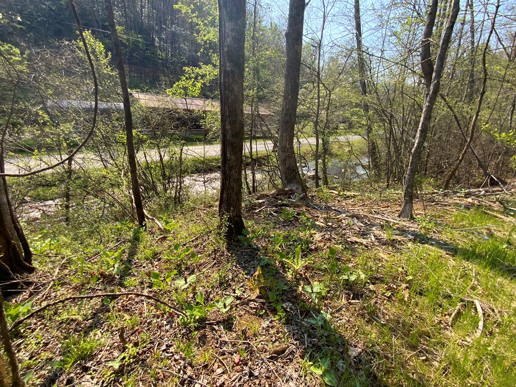 1000 Hyatt Creek Road