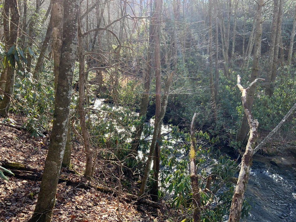 60 Porterfield Gap Road