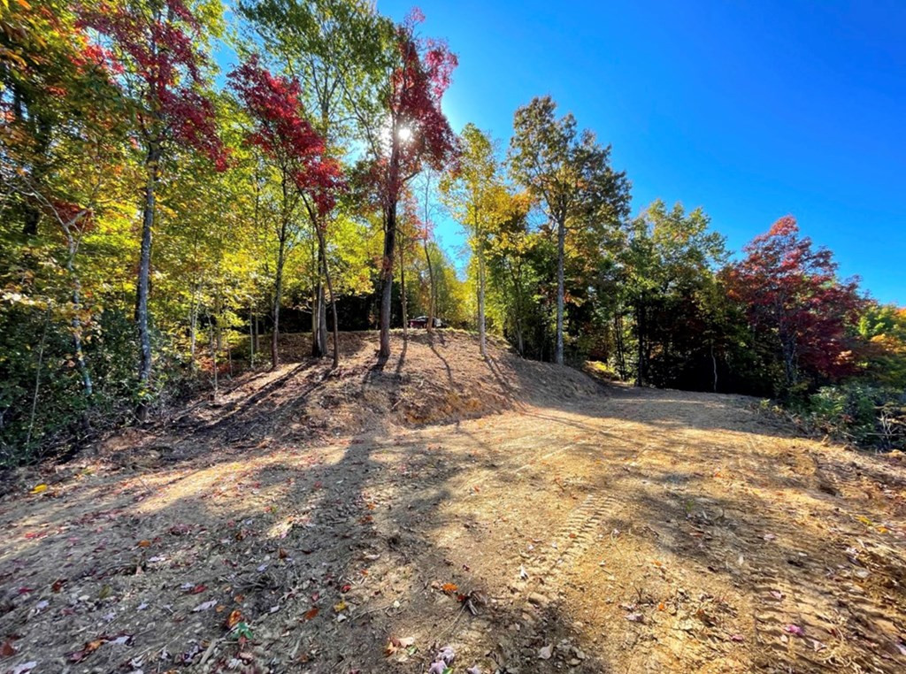 35 & 36 Cahill Drive