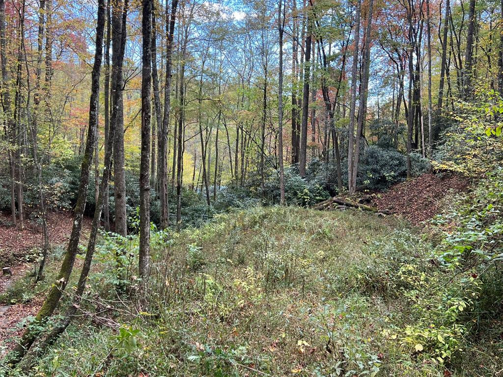 Lot 17 Black Bear Trail