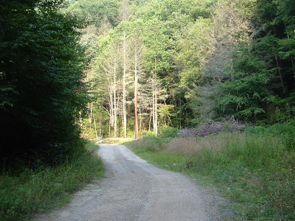 7656 Little Snowbird Road