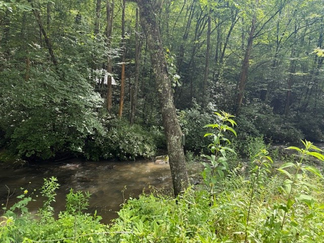 7656 Little Snowbird Road