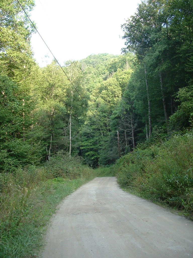 7656 Little Snowbird Road