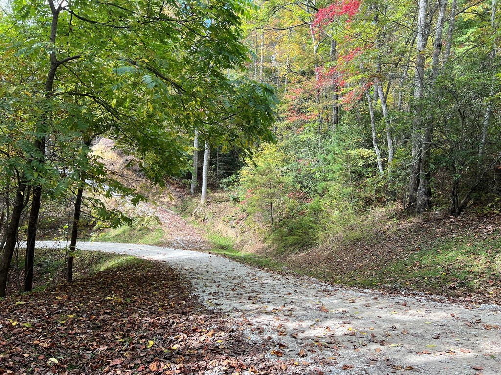 Lot 18 Black Bear Trail