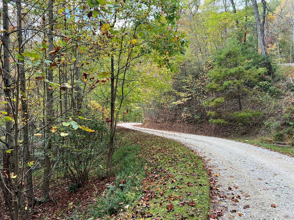 Lot 18 Black Bear Trail
