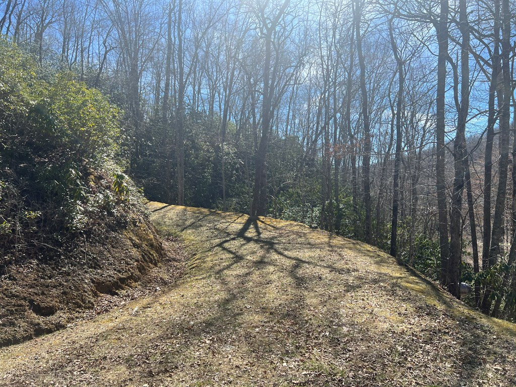 Lot 18 Black Bear Trail