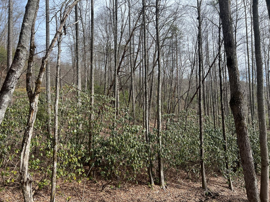 Lot 18 Black Bear Trail