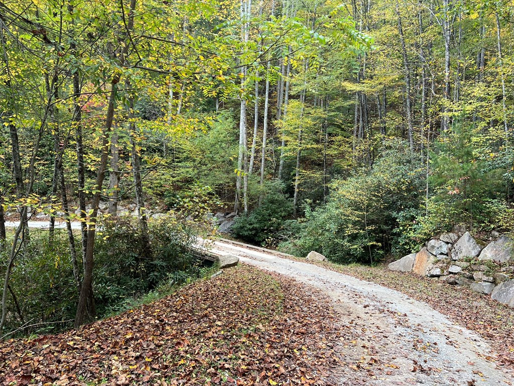 Lot 18 Black Bear Trail