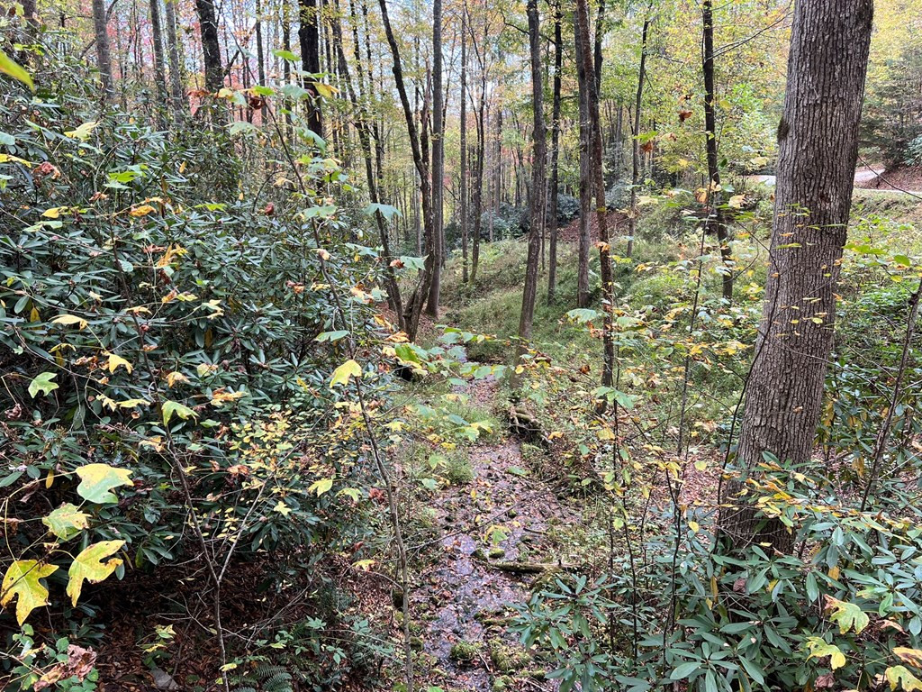 Lot 18 Black Bear Trail