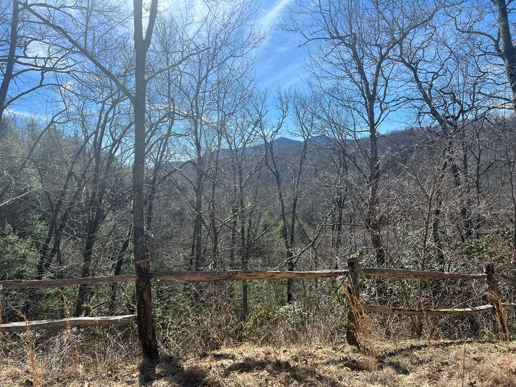 Lot 19 Preserve Valley Road