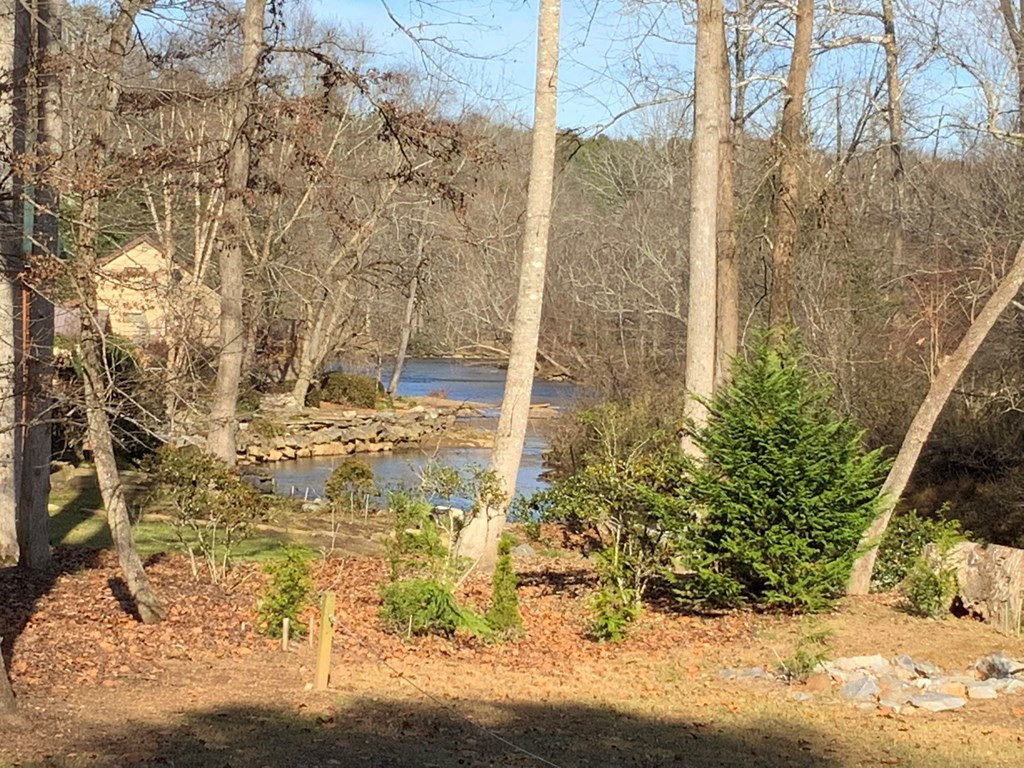 00 Brasstown View