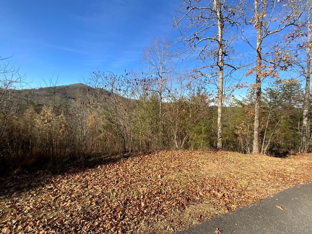 00 Brasstown View