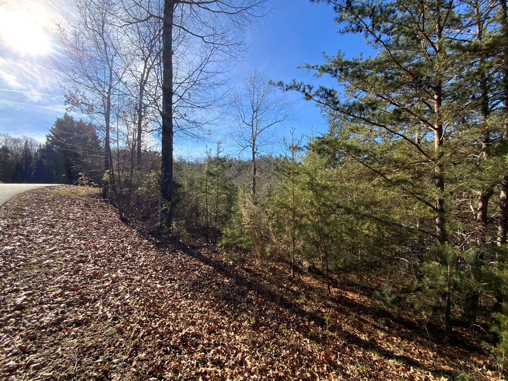 00 Brasstown View