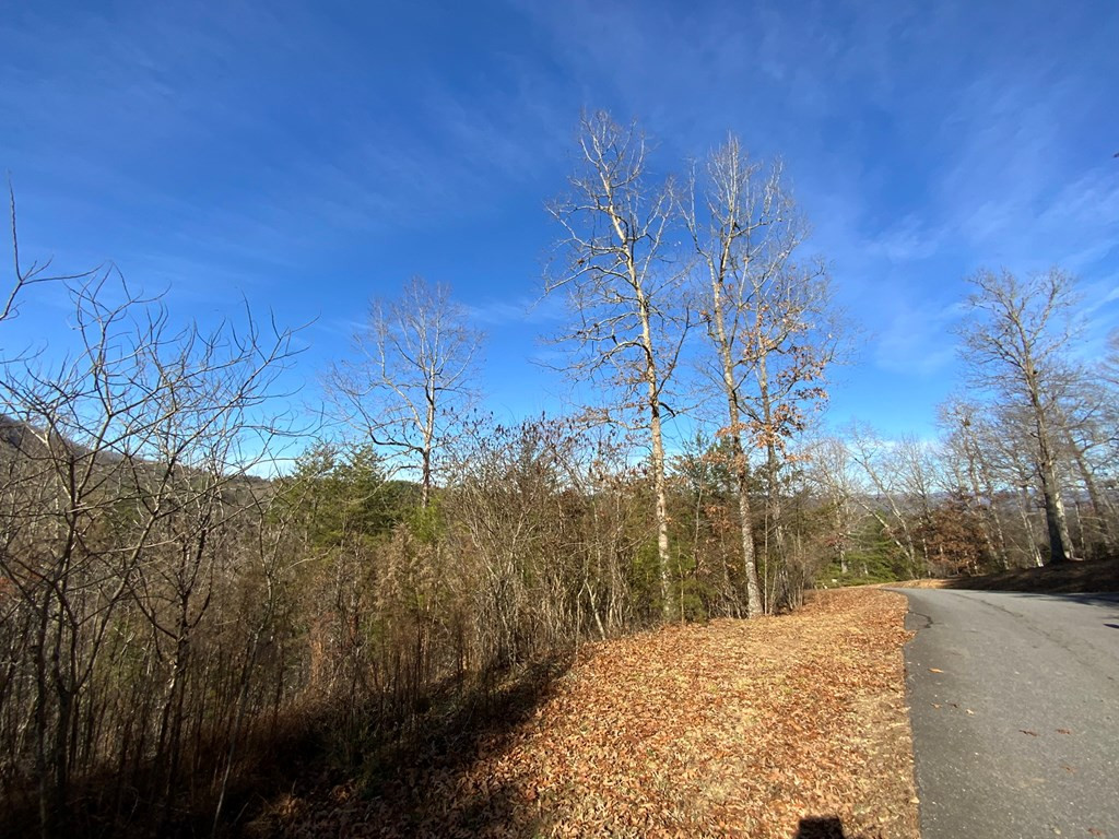 00 Brasstown View