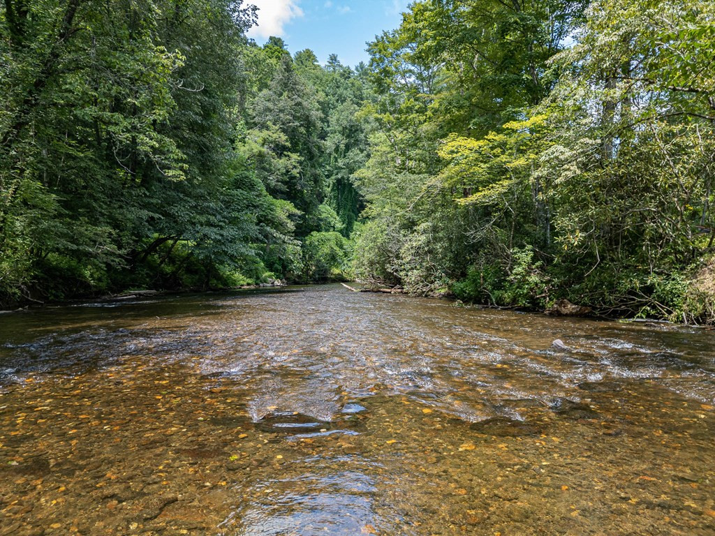 241 Riverview Drive
