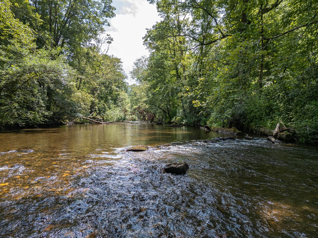 241 Riverview Drive