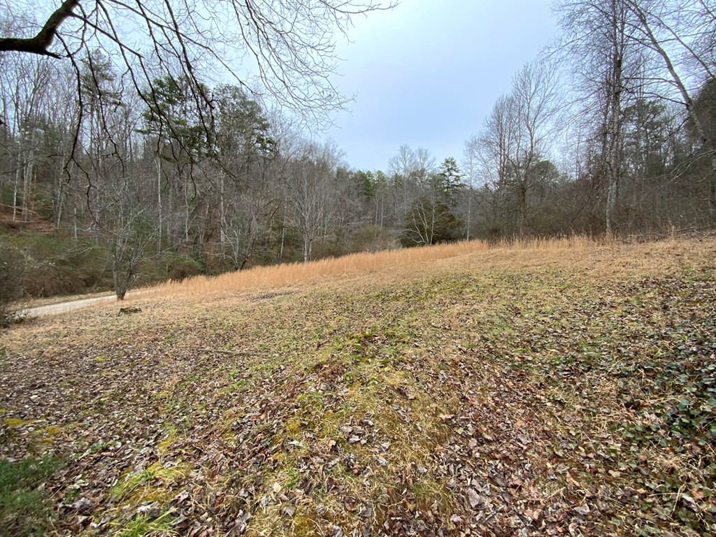 1600 Long Branch Road