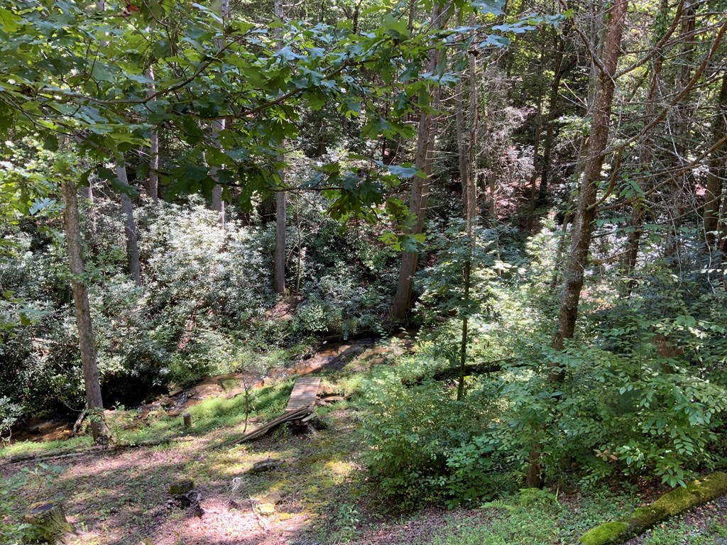 265 Iron Stone Lane