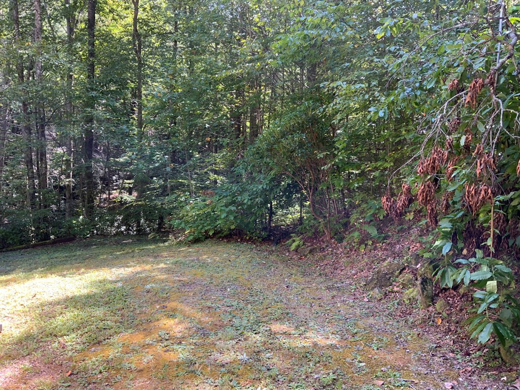 265 Iron Stone Lane