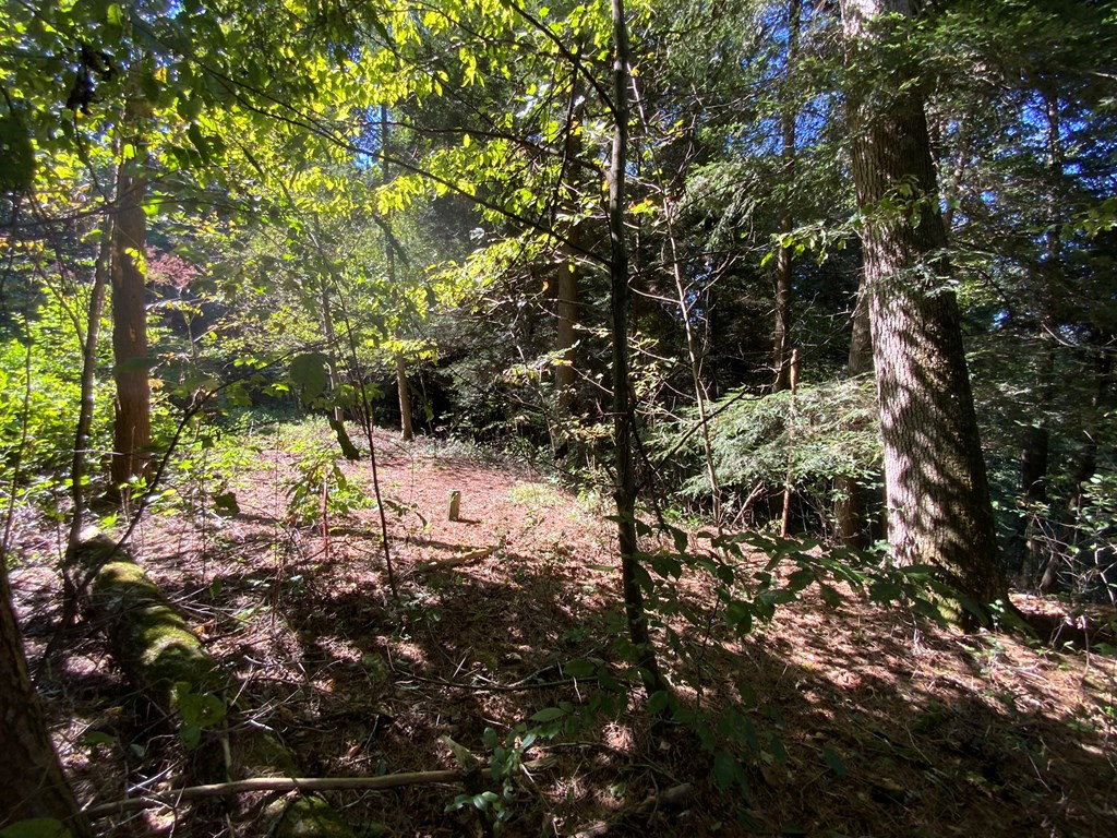 265 Iron Stone Lane