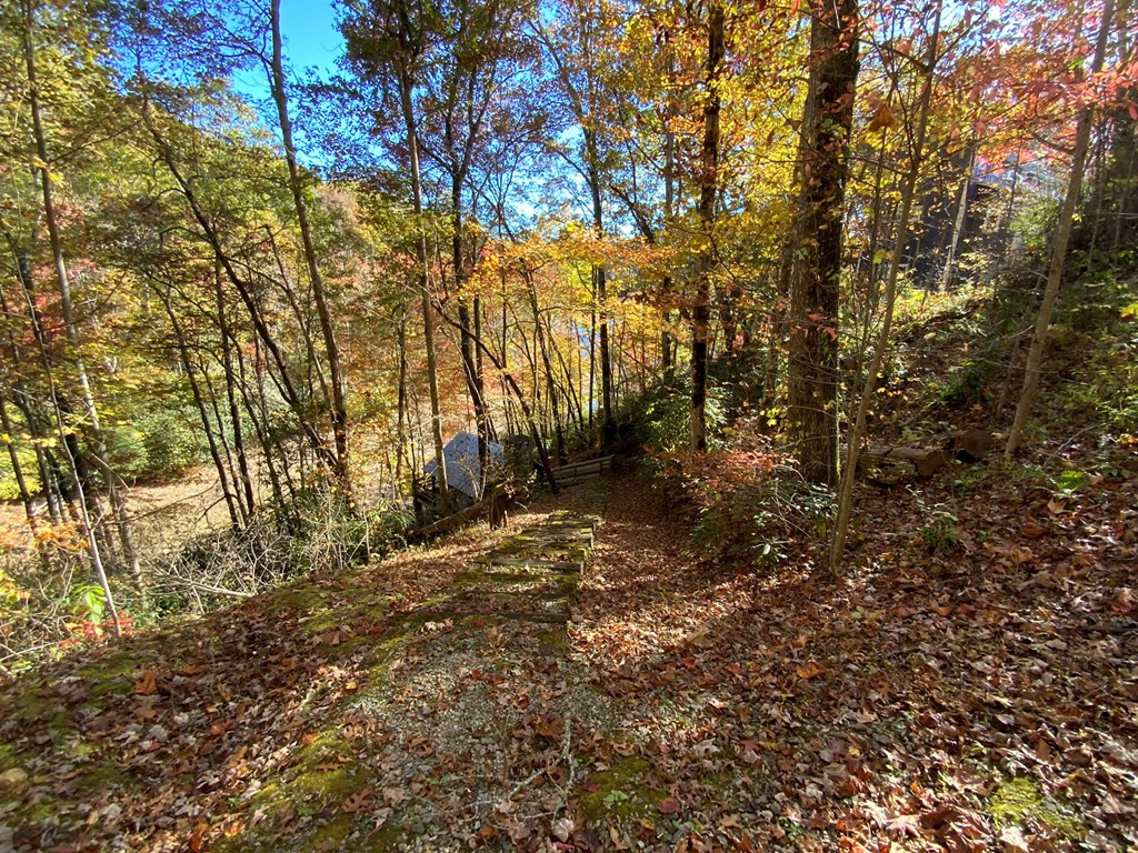 000 Little Choga Road