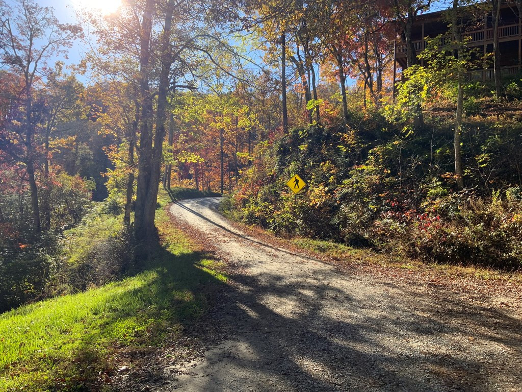 000 Little Choga Road
