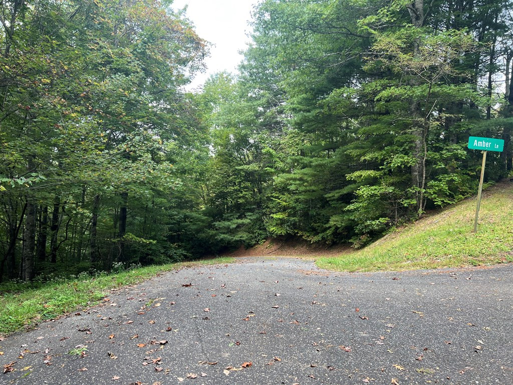 00 Pine Mountain Drive