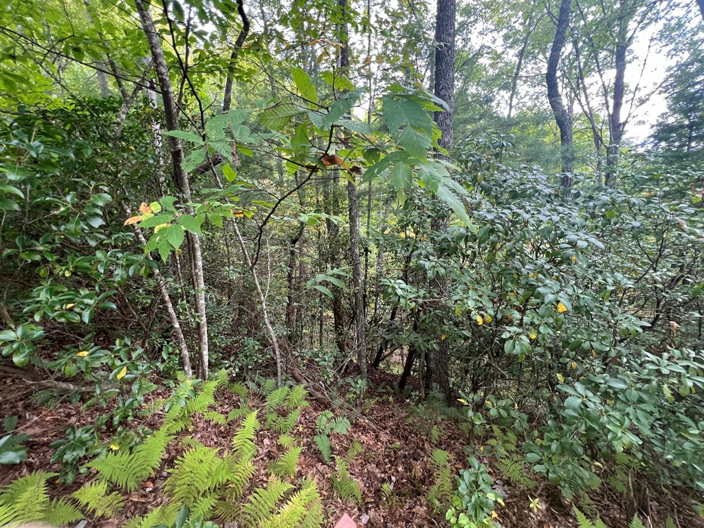 00 Pine Mountain Drive