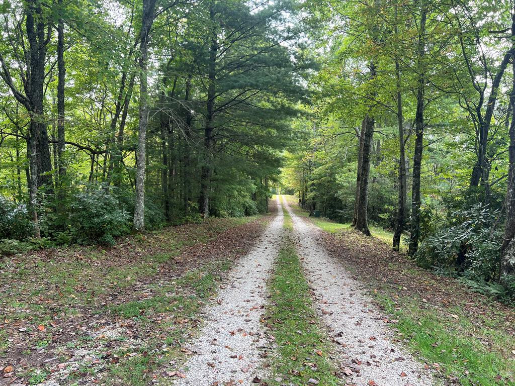 00 Pine Mountain Drive