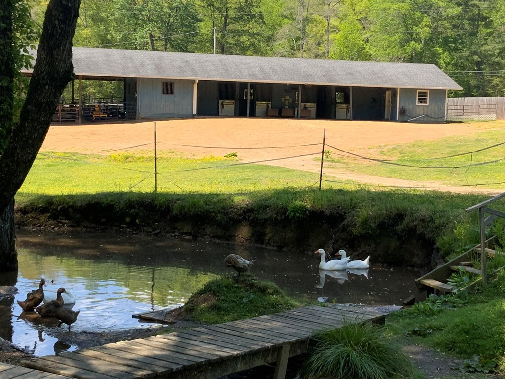 136 Gibson Road
