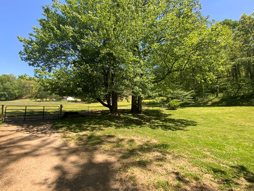 136 Gibson Road