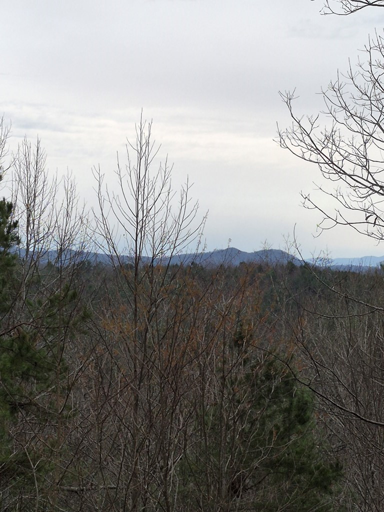 88 Meadowlark Terrace