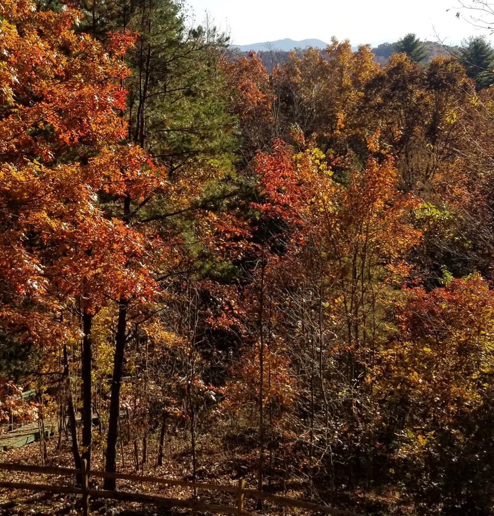 88 Meadowlark Terrace