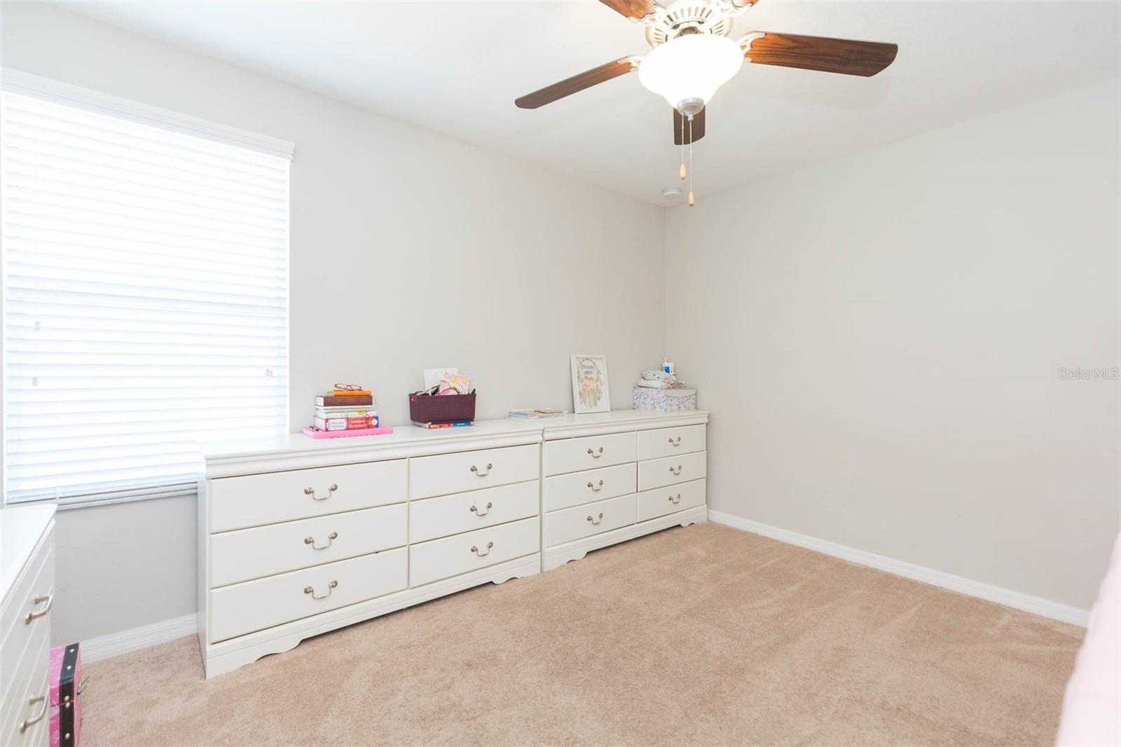 1601 CLIMBING DAYFLOWER DR