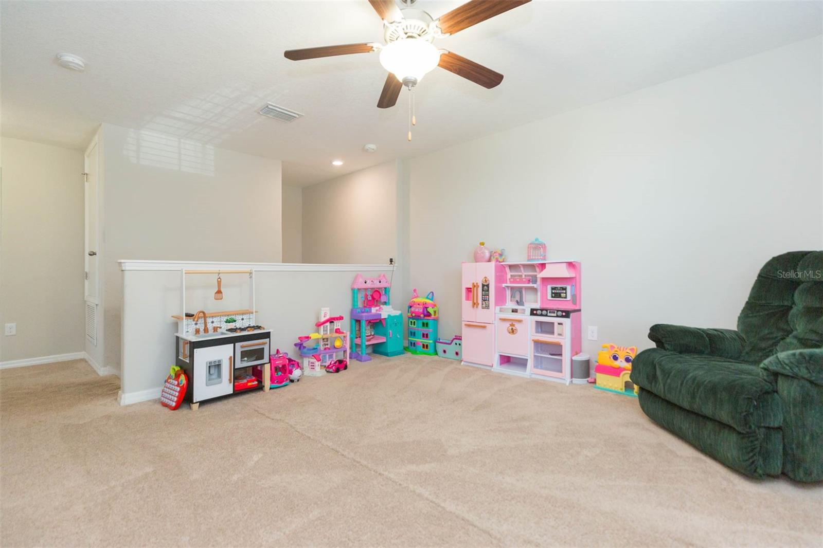 1601 CLIMBING DAYFLOWER DR