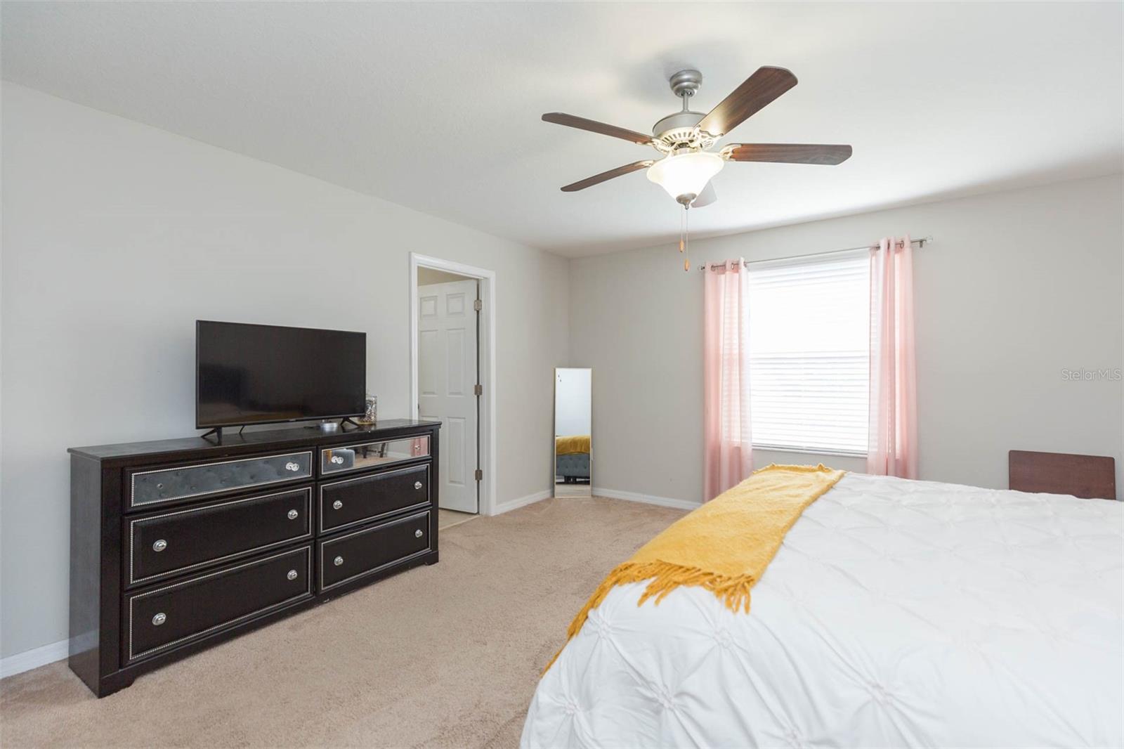 1601 CLIMBING DAYFLOWER DR