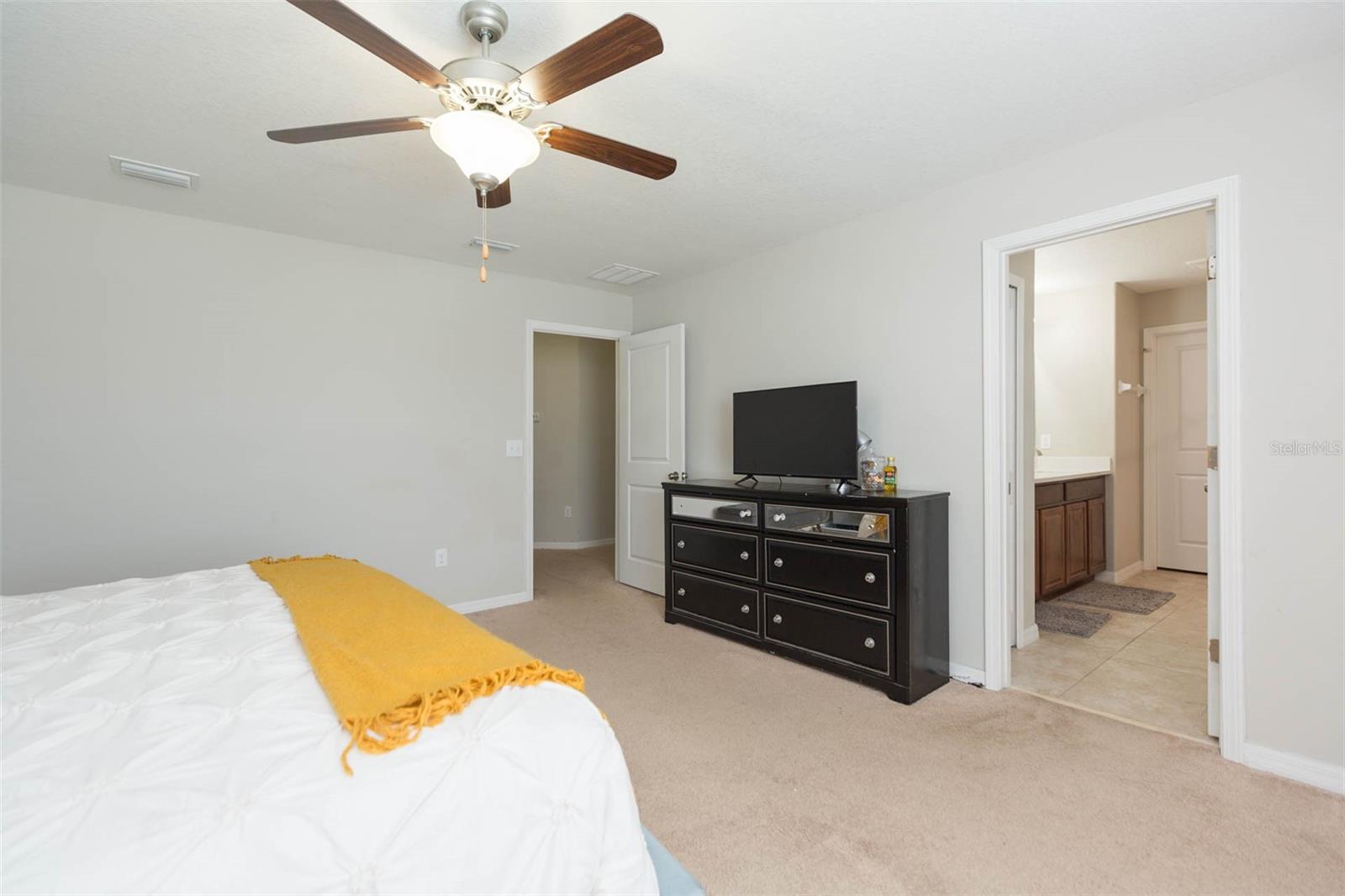 1601 CLIMBING DAYFLOWER DR