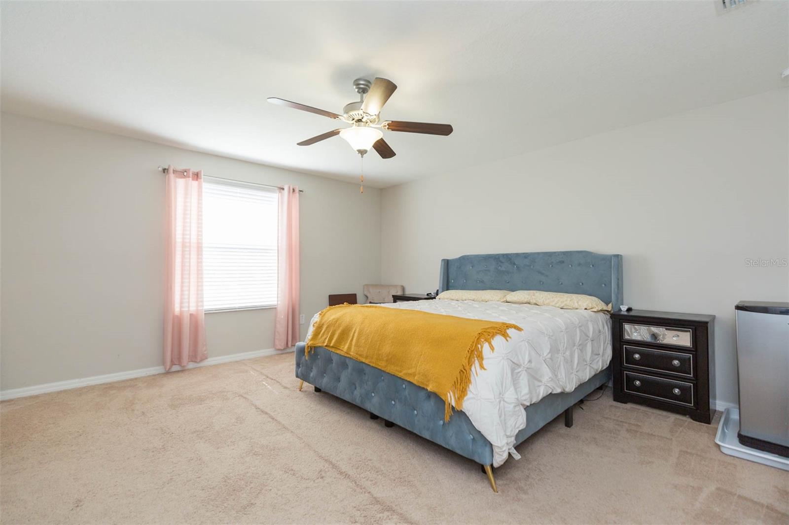 1601 CLIMBING DAYFLOWER DR