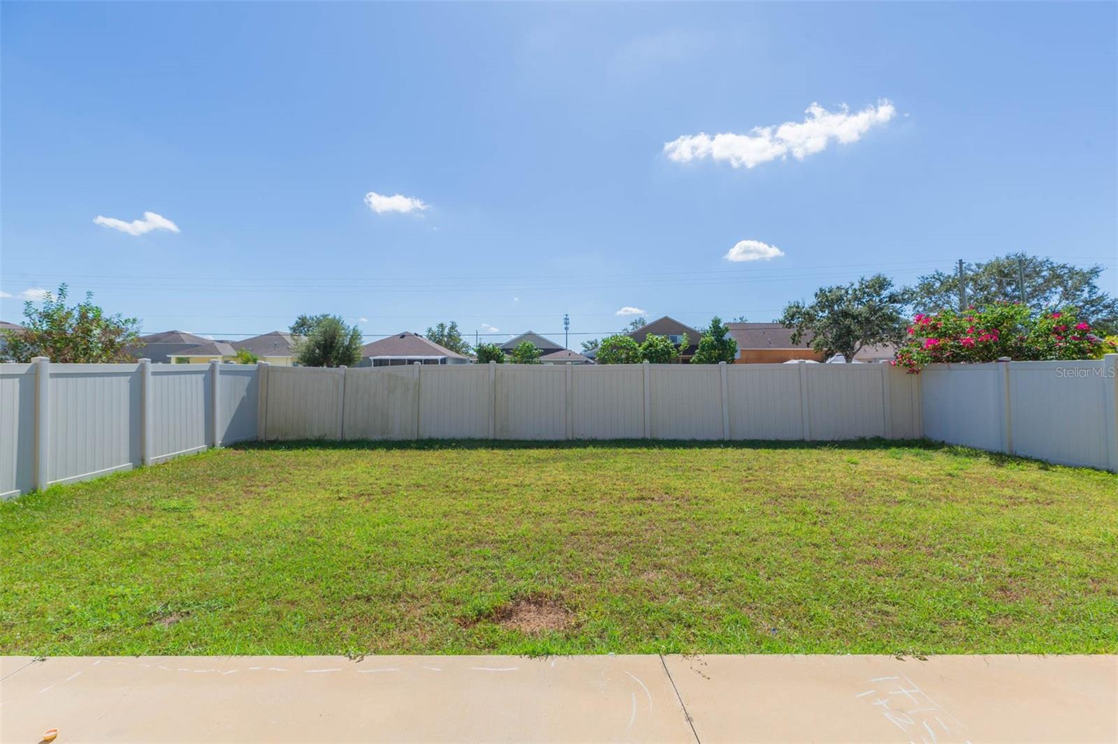 1601 CLIMBING DAYFLOWER DR