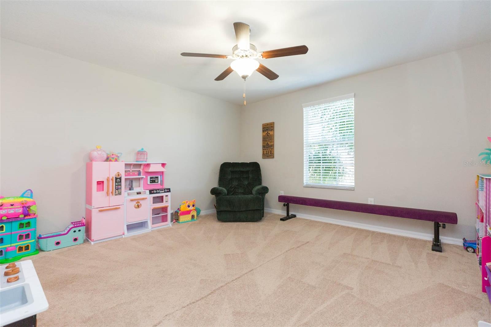 1601 CLIMBING DAYFLOWER DR