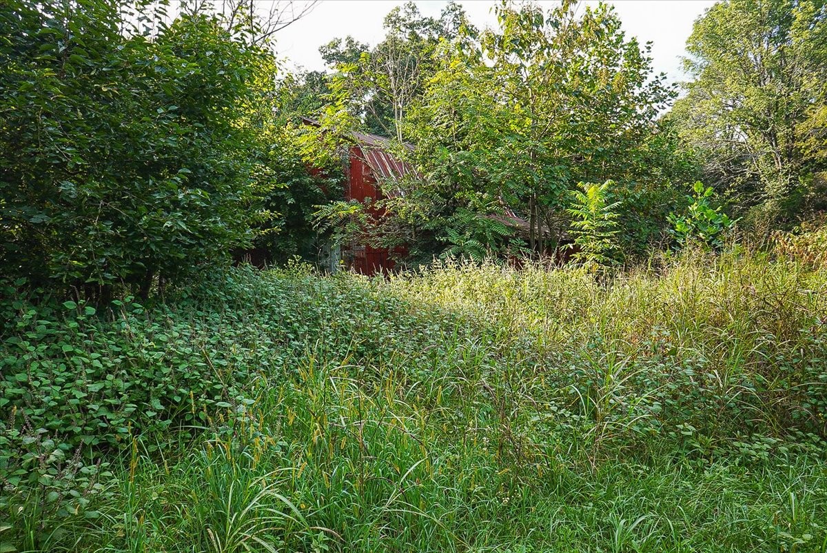 550 Union Ridge Rd