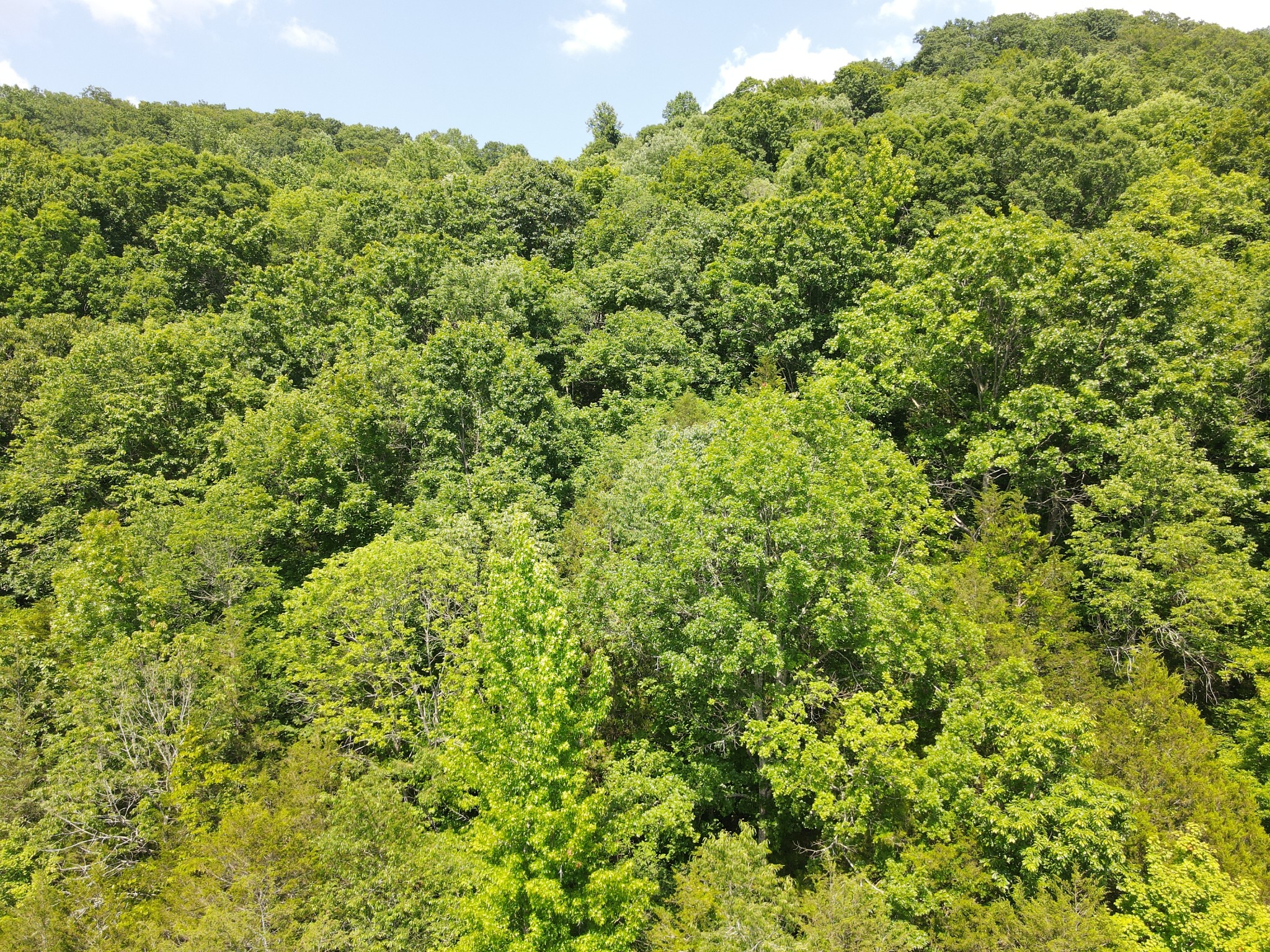 3400 Sycamore Creek Rd